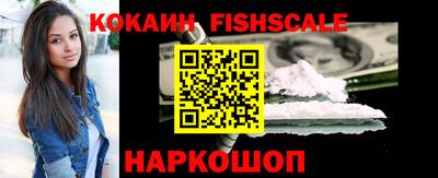гашик Гудермес