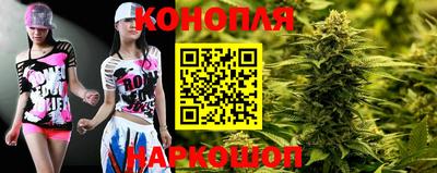гашик Гудермес